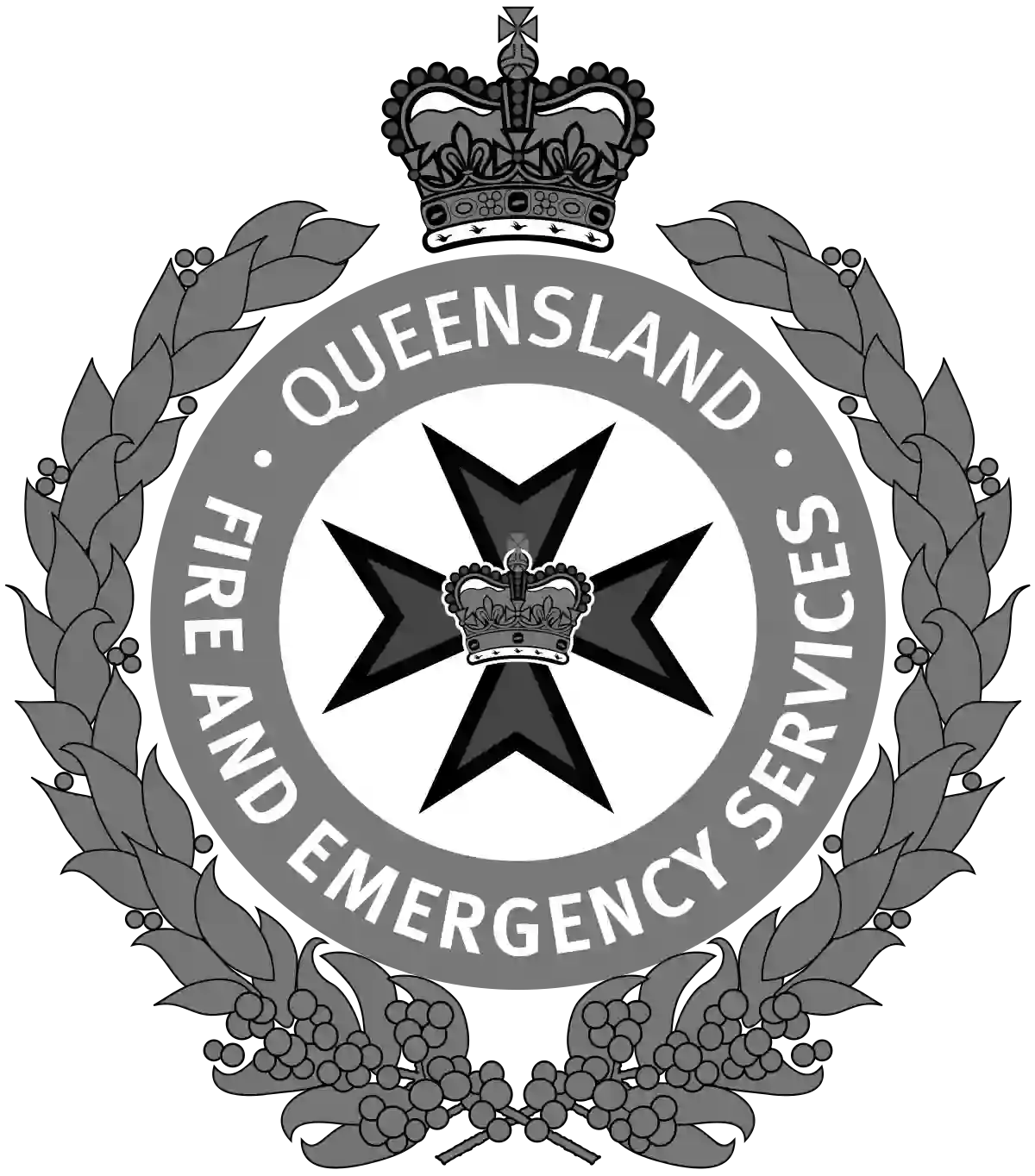 https://stage.dsenergy.com.au/carbon/assets/011111100110/1010/Queensland-Fire-and-Emergency.webp
